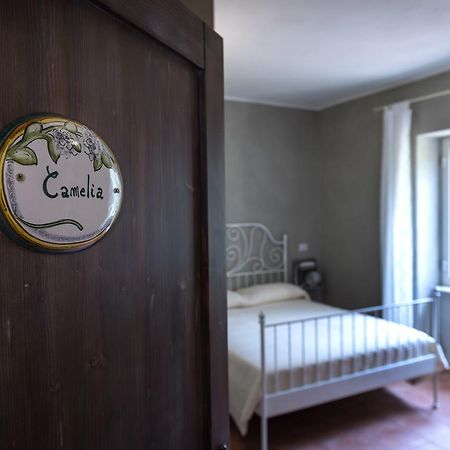 Villa La Rupe Dei Gabbiani Terracina Exterior foto